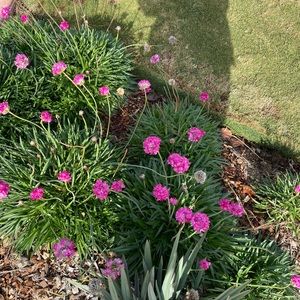 Meet your Posher, Georgia